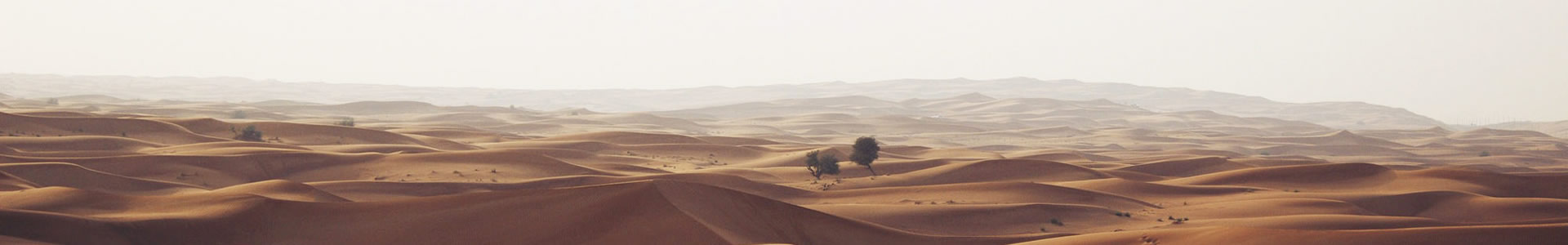 -װƼ޹˾
